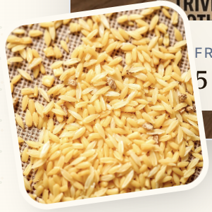 Storage & Milling Best Practices: Keeping Bulk Rice Premium From Mill To Plate